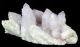 Cactus Quartz (Amethyst) Cluster - Large Crystals #62966-1